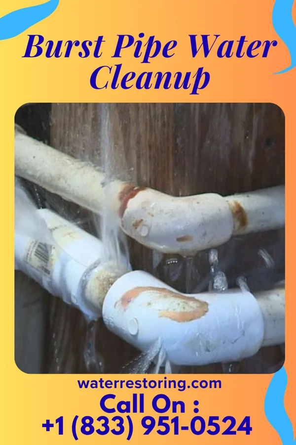 Burst Pipe Water Cleanup in Califon, NJ