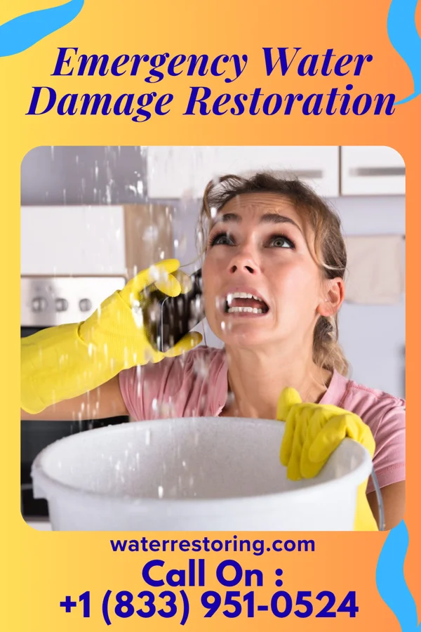 Emergency Water Damage Restoration in Califon, NJ