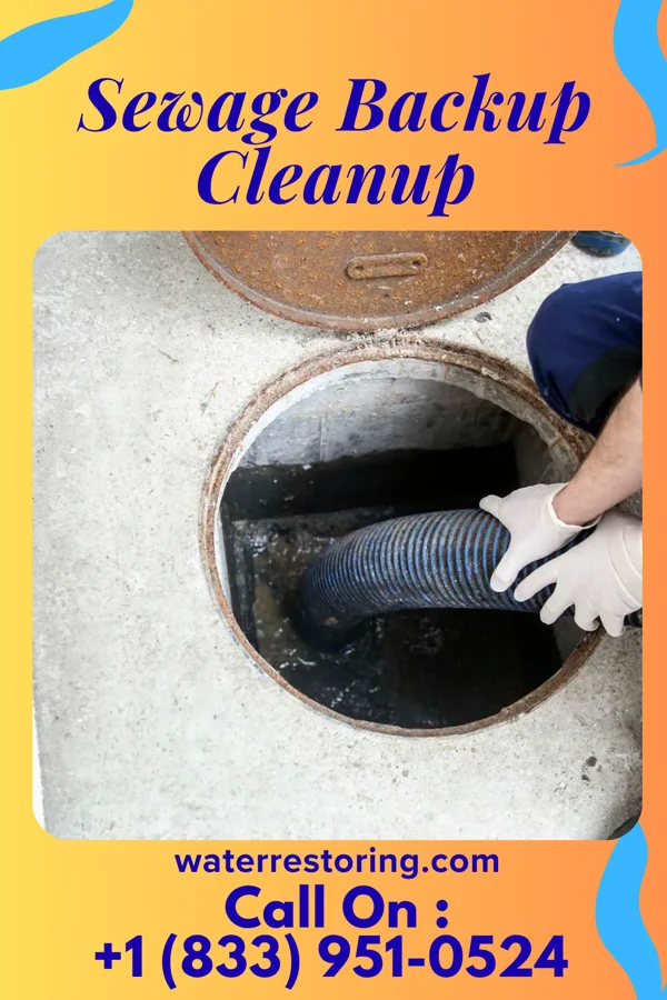 Sewage Backup Cleanup in Califon, NJ