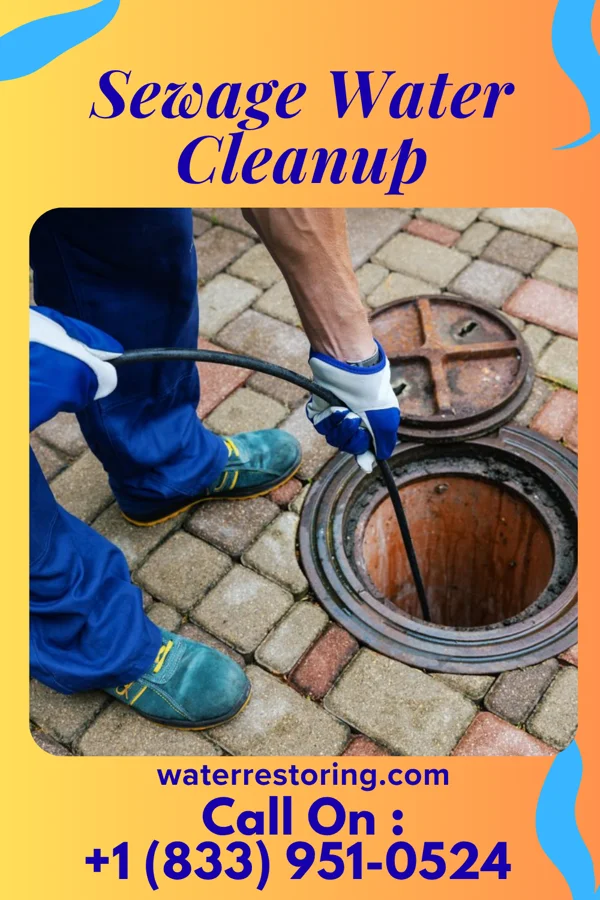 Sewage Water Cleanup in Califon, NJ
